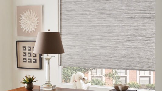 2022 WT Roller Arusha Living Room Duolite Detail